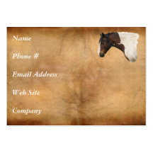 Western American Paint Horse Business Card