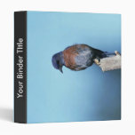 Western bluebird 3 ring binders