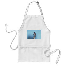 Western bluebird aprons