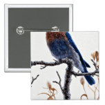 Western bluebird pinback button