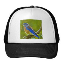 Western Bluebird Trucker Hat