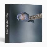Western bluebird vinyl binder