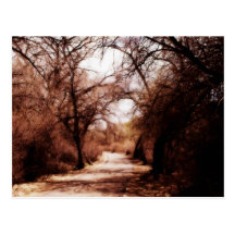 Western Colorado Landscapes Post Cards