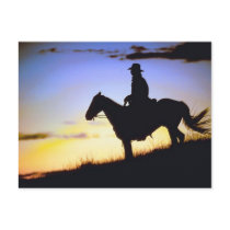 Western Cowboy Sunset Silhouette Post Cards