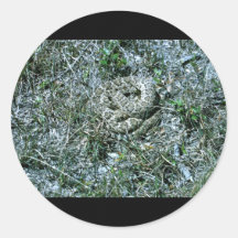 Western Diamondback Rattlesnake Round Sticker