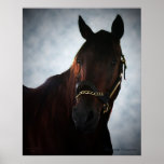 Western Dreamer Print