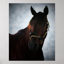 Western Dreamer Print