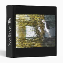 Western Grebe Binder