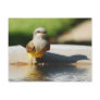 Western Kingbird Post Cards