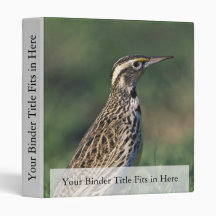Western Meadowlark Binder