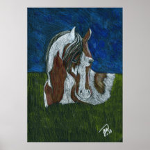Western pinto horse posters