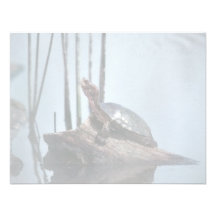Western Pond Turtle Announcement