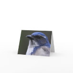 Western Scrub-Jay - Joe Sweeney - card