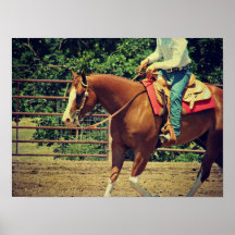 Western Sorrel Print