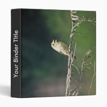 Western Tanager 3 Ring Binder