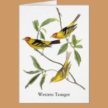 Western Tanager - John James Audubon cards