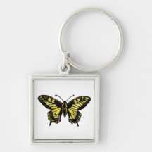 Western Tiger Swallowtail Butterfly Keychains