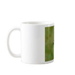 Western Tiger Swallowtail Butterfly Coffee Mug