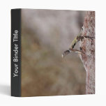 Western Zebra-tailed Lizard 3 Ring Binder