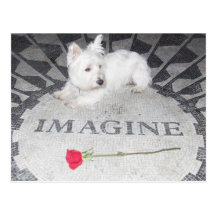 Westie Imagines World Peace Post Card