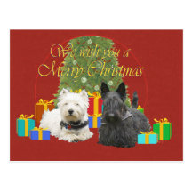 Westie & Scottie Merry Christmas Post Cards