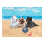 Westie with Cairn Terriers at the Beach Post Cards