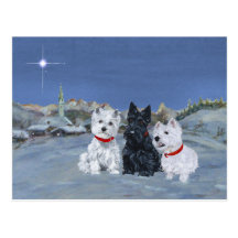 Westies and a Scottie Christmas Postcards