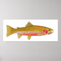 Westslope Cutthroat Trout Watercolor Print