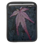 Wet autmn acer leaf on slate iPad sleeves