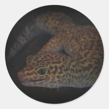 Wet Gecko With Tongue Out Sticker