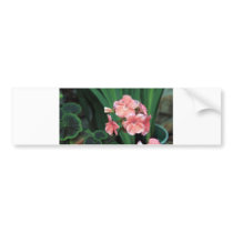 wet geraniums bumper stickers