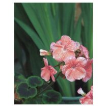 wet geraniums flyer design