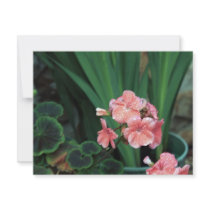 wet geraniums personalized invite