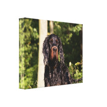 Wet Gordon Setter Wrapped Canvas Gallery Wrapped Canvas