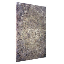 Wet Grainy sand texture Gallery Wrapped Canvas