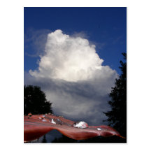 Wet leaf and cloud ~ postcard