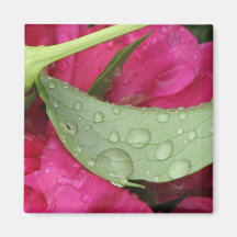 Wet Leaf Fridge Magnet