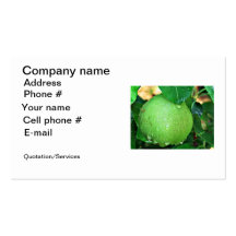 Wet pear tree business card
