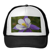 Wet Purple Columbine Trucker Hats