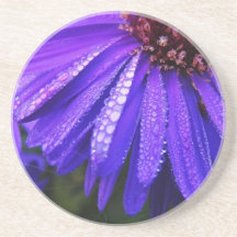 wet purple flower sandstone coaster