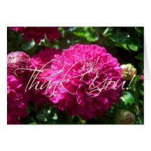 Wet Purple Mums Thank You Card
