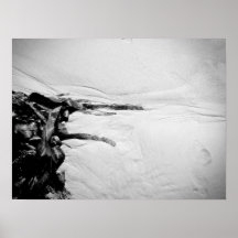 Wet Sand and Seaweed B&W Posters