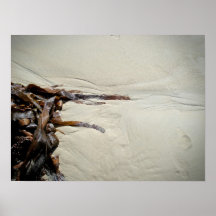 Wet Sand and Seaweed Print