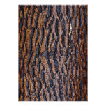 Wet tree bark invites