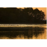Wetland at sunset in silhouette cut outs