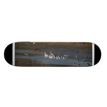 Wetland Birds Skateboard