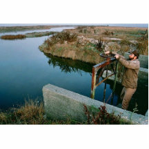 Wetland Managment, Humboldt Bay National Wildlife Acrylic Cut Out