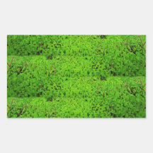 Wetland oasis border sticker