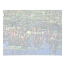 Wetland plants at Okefenokee National Wildlife Ref Custom Invitation