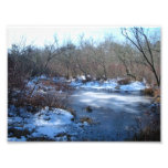 Wetland Ponds in Winter Art Photo